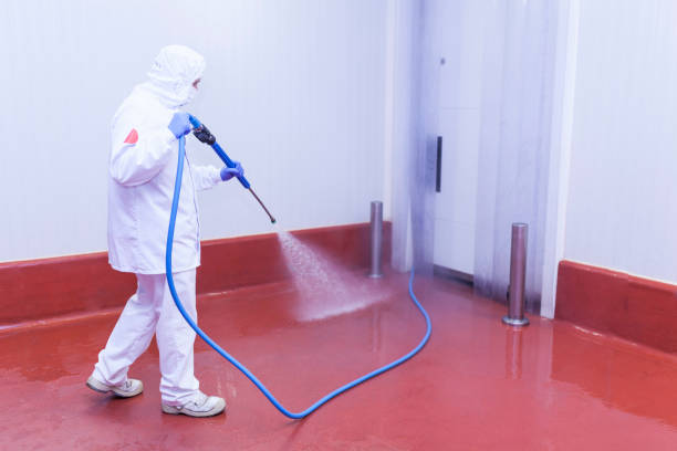 Best Solar Panel Cleaning  in Fenton, MO