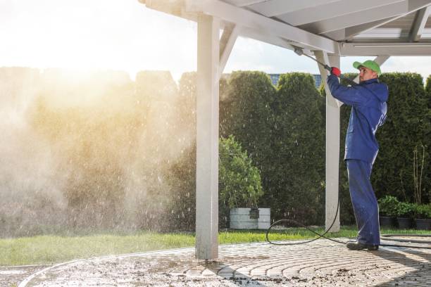 Best Spring Cleaning  in Fenton, MO