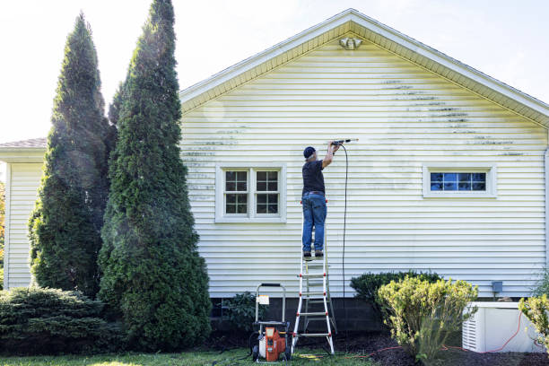 Best Gutter Cleaning  in Fenton, MO